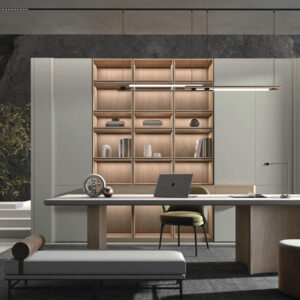 whole-house-cabinet-solution-home-office-display-cabinet
